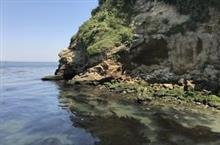 コペンで無人島に行ってみた コペンで無人島に行ってみた
