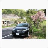 旧長野原線太子駅跡と八重桜