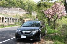 旧長野原線太子駅跡と八重桜 旧長野原線太子駅跡と八重桜