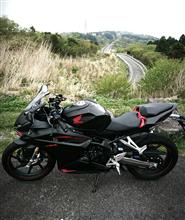 初めてのバイクとして非常に満足 CBR250RR