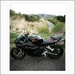 初めてのバイクとして非常に満足 CBR250RR