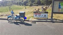 バイク語り＃９ カブで門司！？