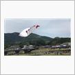 内子町 五十崎大凧合戦