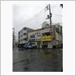 気になりすぎて(；・∀・)