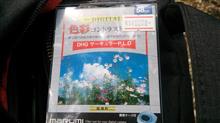 PLフィルター撮影テスト(愛知県民の森) PLフィルター撮影テスト(愛知県民の森)