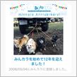 祝・みんカラ歴12年！