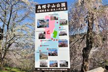 山形・秋田・福島桜巡り① 南陽市・烏帽子山公園 JR山形新幹線 (2018 .4) 山形・秋田・福島桜巡り① 南陽市・烏帽子山公園 JR山形新幹線 (2018 .4)