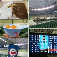 野球観戦（埼玉西武vs千葉ロッテ）