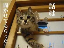 やはり・・・ やはり・・・