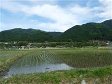 5月と深緑に染まる 5月と深緑に染まる