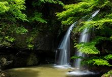 新緑まぶしい月待の滝