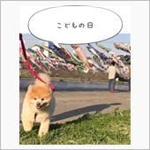 十日町クラシッカーミーティン ...