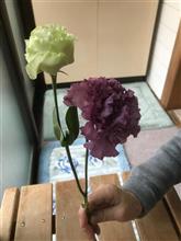 燃費の季節~ 燃費の季節~