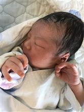 無事産まれました。