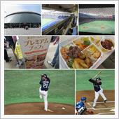 野球観戦（北海道日本ハムvs ...