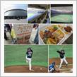 野球観戦（北海道日本ハムvs埼玉西武）