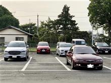 メープルが北関東マツダに(^^♪ メープルが北関東マツダに(^^♪