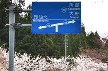 東北の桜と雪の回廊② 大仙市・八乙女公園 JR田沢湖線 ~回復~ (2018 .4) 東北の桜と雪の回廊② 大仙市・八乙女公園 JR田沢湖線 ~回復~ (2018 .4)