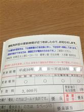 ゴールド免許