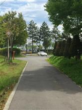 自主的日曜出勤