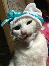 どうやら どうやら