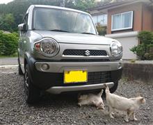 やっと納車 やっと納車