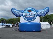 BLUE SKY HEAVEN 2018