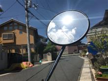 天気いいよね。気持ちのいい朝 モンキーライフ