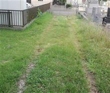 草刈 草刈