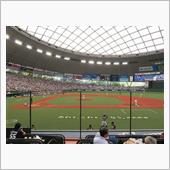 野球観戦（埼玉西武vs北海道 ...