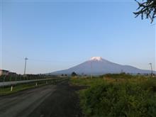 わらび採りin北富士演習場