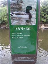 最近、入口・出口が読めないのか？意味が理解出来ない？日本人が増えて（&gt;_&lt;）…