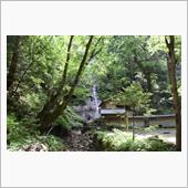 隠岐に行ってきた(3)