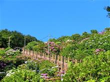 6月の　おつとめと　久しぶりに　IS　自力洗車と　巨大クレーン