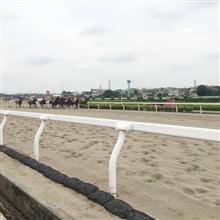 ソリオで競馬場に行く