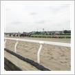 ソリオで競馬場に行く