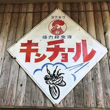 ハスラーで日光行ってきた ​