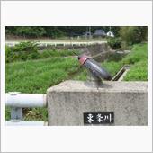 こんだ薬師温泉 ぬくもりの郷 ...