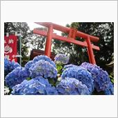 鹿島 祐徳稲荷神社 御朱印☆彡