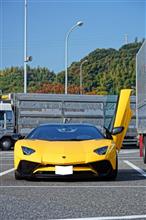 エロ過ぎる増車・・・ｼﾗﾝｶﾞﾅ