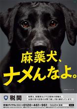 ぜんぜん興奮できない芸術的な盗撮写真 ぜんぜん興奮できない芸術的な盗撮写真