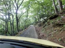 滋賀県道139号上石津多賀線を行く 