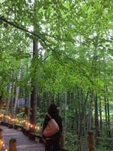 6月北海道④(定山渓~大雪山白金観光ホテル) 6月北海道④(定山渓~大雪山白金観光ホテル)