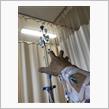 抗癌剤を点滴で