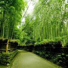 秋の京都旅行、企画書作成中　いかん、明々後日出発や！