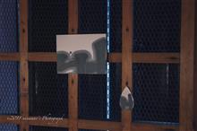 吉祥寺 GALLERY KAI 〜IRONIHOFU 雫展〜 Part1 吉祥寺 GALLERY KAI 〜IRONIHOFU 雫展〜 Part1