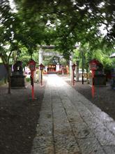 雨の鴻神社へ