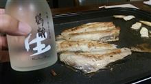 こんばんは こんばんは