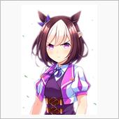 踏切時間なんだけど、第１３R ...