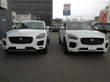 ジャガー最小SUV E-PACEの選び方 ジャガー最小SUV E-PACEの選び方